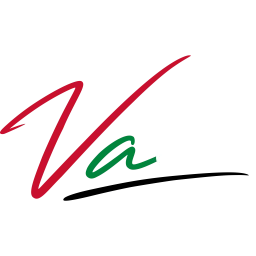 VoomAE