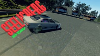 SEELISBERG V2