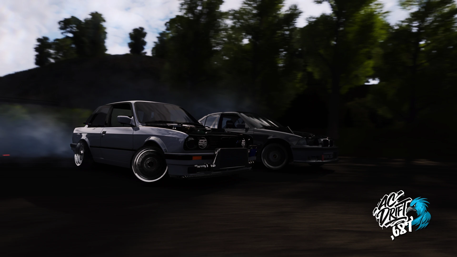 CARPACKS ACD 687